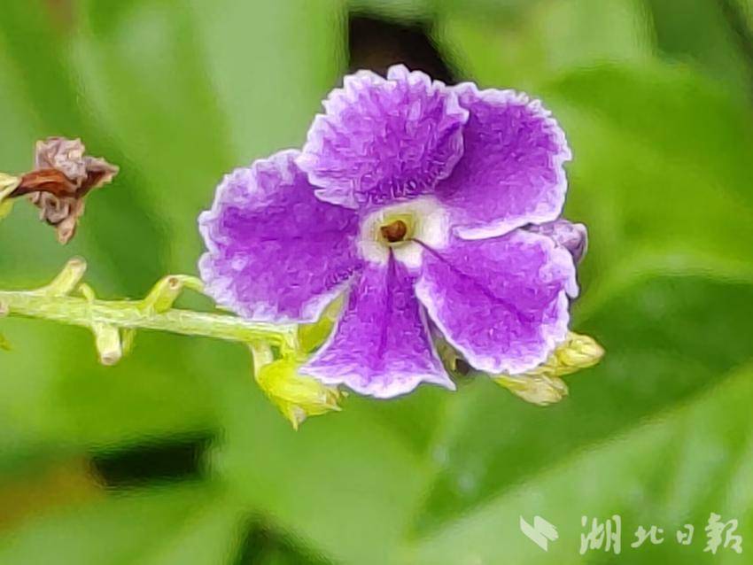 下载银河彩票